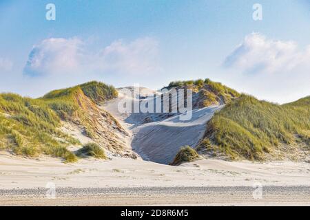 Gros plan sur les dunes de sable enneigées et l'herbe sous un soleil jour d'hiver Banque D'Images