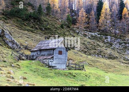 De magnifiques cabanes de berger en bois historiques nichées sur les pâturages verdoyants idylliques de Planina v Lazu sous les Alpes juliennes, en Slovénie. Banque D'Images
