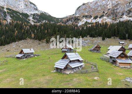 Le pâturage alpin idyllique de Planina v Lazu aux belles couleurs automnales, avec des cabanes de bergers en bois historiques sous les Alpes juliennes, Slovénie. Banque D'Images