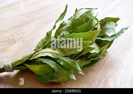 Feuilles de baie vertes sèches attachées avec une corde sur un fond en bois. Également appelé Laurel ou Laurus nobilis. Banque D'Images