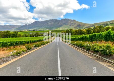 Winelands & Grapes les fermes de l'ouest du Cap, en Afrique du Sud, comptent parmi les sites les plus visités de la région Banque D'Images