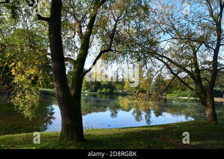 Scène automnale d'un lac à travers les arbres au Royaume-Uni. Automne. Automne. Banque D'Images