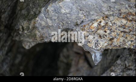 icicle dans la grotte de Shamanka montagne lac Baikal Banque D'Images