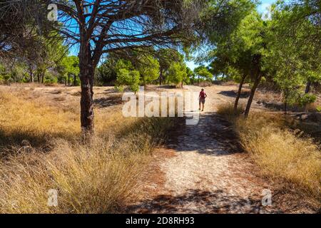 Femelle solitaire marchant le long d'un chemin de sable à travers la forêt de pins à la Mata, Torrevieja, Costa Blanca, Espagne, hiver, soleil d'hiver, destination Banque D'Images