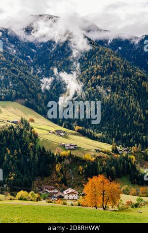Vallée de Funes, Trentin, Italie. Paysage d'automne avec couleurs d'automne. Banque D'Images