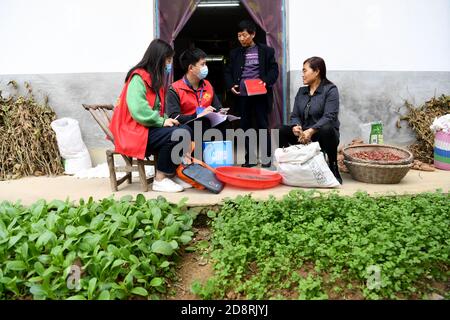 (201101) -- HEFEI, 1er novembre 2020 (Xinhua) -- les preneurs de recensement enregistrent les renseignements des résidents d'un ménage dans la ville de Zipeng, comté de Feixi, ville de Hefei, province d'Anhui, en Chine orientale, 1er novembre 2020. La Chine a commencé dimanche son septième décompte de la population nationale, avec environ 7 millions de personnes faisant l'objet d'un recensement de porte à porte pour documenter les changements démographiques dans le pays le plus peuplé du monde. (Xinhua/Liu Junxi) Banque D'Images