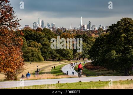 Vélo dans le parc Richmond avec une toile de fond de la ville De Londres Banque D'Images