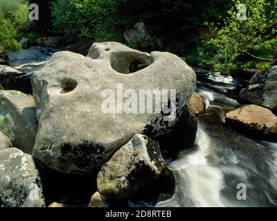 Vue se of the Tolman (Tolmen), un grand bloc de granit en pente avec un trou circulaire suspendu au-dessus de la rivière North Teign, Dartmoor, Devon, Angleterre. Banque D'Images