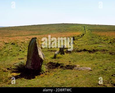 En regardant la WSW au bas de la double rangée de pierres Tor, Dartmoor, Angleterre, Royaume-Uni, menant en amont de sa pierre terminal ne à un cairn en ruines dans un cercle de pierre. Banque D'Images