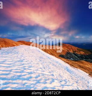 Printemps dans les montagnes et la dernière neige. Les montagnes ukrainiennes des Carpates Banque D'Images