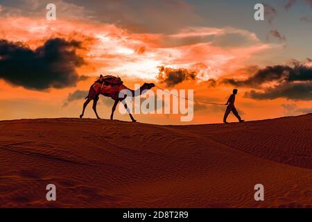 Caméléers, pilotes de chameaux au coucher du soleil. Désert de Thar au coucher du soleil Jaisalmer, Rajasthan, Inde. Banque D'Images