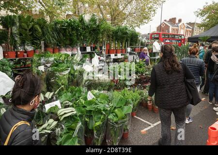 Londres, Royaume-Uni. 1er novembre 2020. Chiswick détient le deuxième marché floral avec des précautions covid. Plantes, fleurs et livres de jardinage en preuve au marché des fleurs qui se déverse dans Devonshire Road. Le conseiller Ron Mushiso est bénévole en tant que délégué dirigeant le système de voies de circulation. Masques et assainisseur disponibles à l'entrée. Crédit : Peter Hogan/Alay Live News Banque D'Images