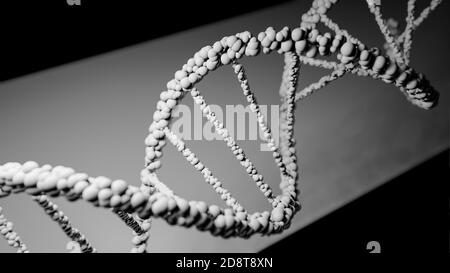 ADN, acide désoxyribonucléique, structure de la molécule à double hélice, chaînes de polynucléotides, atomes, brins de structure génétique humaine illustration du modèle 3D Banque D'Images