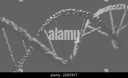 ADN, acide désoxyribonucléique, structure de la molécule à double hélice, chaînes de polynucléotides, atomes, brins de structure génétique humaine illustration du modèle 3D Banque D'Images