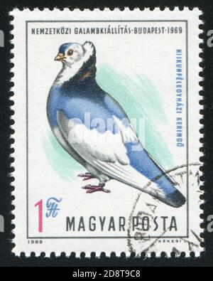 HONGRIE - VERS 1969: Timbre imprimé par la Hongrie, montre pigeon, vers 1969 Banque D'Images