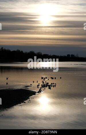 L'automne fantastique a atténué le lever du soleil au-dessus du lac Dow, Ottawa, Ontario, Canada. Banque D'Images