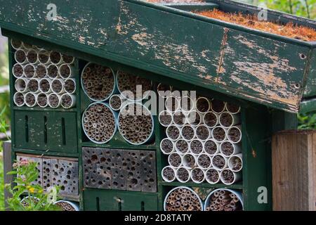 Bee Hotel, Arundel Banque D'Images