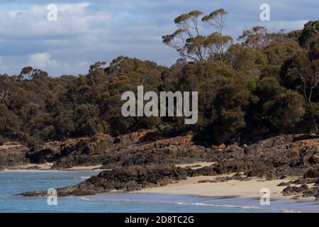 Paysage naturel de la plage et du Bush près de Bridport en Tasmanie, en Australie. Banque D'Images