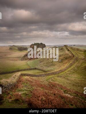 Mur d'Hadrien, près des Housesteads, à la fin de l'automne Banque D'Images