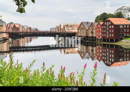 Maisons colorées le long de la rivière Nidelva à Trondheim, Norvège Banque D'Images