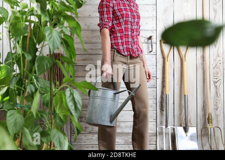 femme dans jardin potager avec arrosoir sur bois blanc jeter l'arrière-plan avec les outils de jardinage Banque D'Images