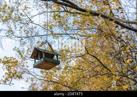 Mangeoire à oiseaux, maison pour voler de beaux poussins sur un arbre suspendu sur le fond de la forêt, cadre approximatif de bouleau, feuilles jaunes Banque D'Images