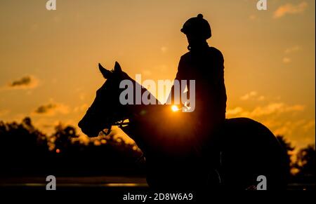 Lexington, Kentucky, États-Unis. 1er novembre 2020. 1er novembre 2020 : scènes d'entraînement matinal pendant que les chevaux se préparent pour la coupe 2020 BreedersÕ au Keeneland Racetrack à Lexington, Kentucky, le 1er novembre 2020. Scott Serio/Eclipse Sportswire/Breeders Cup. Crédit : csm/Alay Live News Banque D'Images