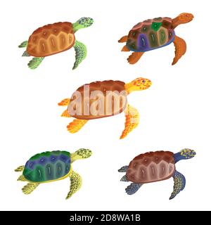 Bande dessinée tortue. Petites tortues multicolores, couleurs modernes. Ensemble de vecteurs. Une collection de reptiles aquatiques et terrestres mignons et amicaux. Reptile marin Illustration de Vecteur