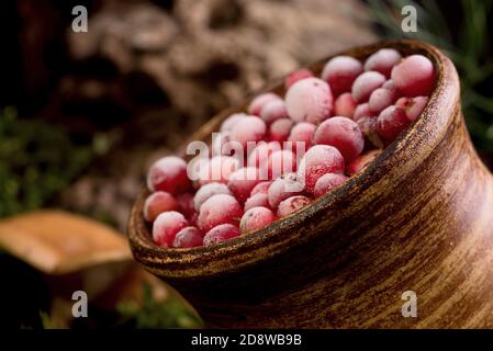 Gros plan sélectif des baies mûres rouges de canneberges dans un pot d'argile sur une couverture de mousse, au fond de la forêt. Banque D'Images