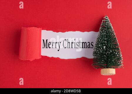 Dessus au-dessus du dessus du dessus de la tête de lit plat vue d'un petit arbre de noël avec des congrats sur papier rouge déchiré sur blanc arrière-plan avec espace de copie Banque D'Images