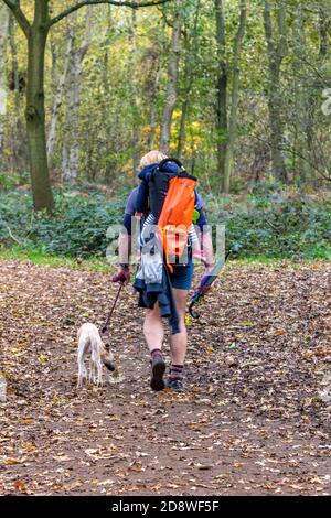 un homme portant des sortes et portant un enfant dans un porte-bébé sac à dos marchant dans une forêt en automne avec son chien en tête dans une forêt. Banque D'Images