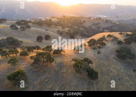 Le soir, la lumière du soleil brille sur les collines ondoyantes du nord de la Californie. Ces belles collines dorées deviennent vertes une fois l'hiver apporte des pluies saisonnières. Banque D'Images