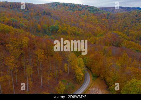 Visegrad, Hongrie - vue aérienne de la route sinueuse traversant la forêt, ambiance automnale, couleurs automnales chaudes. Arbres de couleur verte, rouge jaune et orange. Banque D'Images