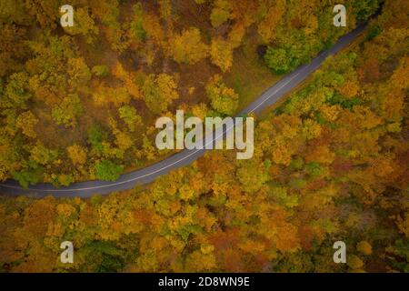 Visegrad, Hongrie - vue aérienne de la route sinueuse traversant la forêt, ambiance automnale, couleurs automnales chaudes. Arbres de couleur verte, rouge jaune et orange. Banque D'Images