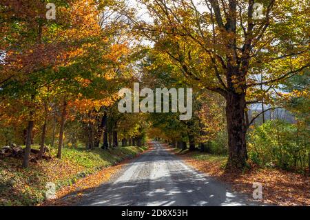 Route parmi les arbres dans le Vermont automne Banque D'Images