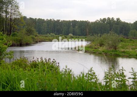 Deux personnes sur des planches à paddle au loin sur une rivière avec des berges de rivière herbeuses des deux côtés. Banque D'Images