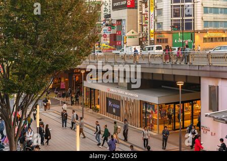 tokyo, japon - novembre 05 2019 : vue supérieure de la foule de personnes marchant devant le bureau du centre d'information touristique de Shinjuku en dessous d'un pont à Banque D'Images