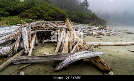 Le bois de Driftwood s'est lavé sur la rive sur la plage de sable couvert de brume de Cox Bay, dans le parc national Pacific Rim, sur l'île de Vancouver, en Colombie-Britannique, au Canada Banque D'Images