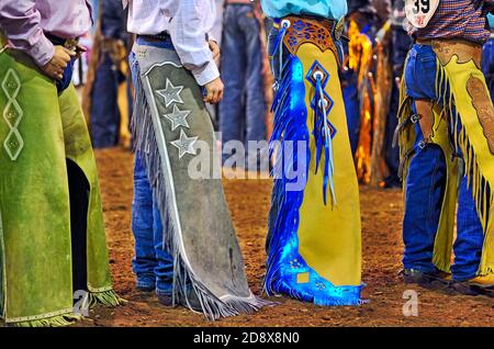 Une gamme de cowboys concurrents portant des cowboys de couleur vive de l'Ouest alors qu'ils se sont alignés, ils se disputent un rodéo en intérieur Dans l'ouest de l'Alberta au Canada Banque D'Images