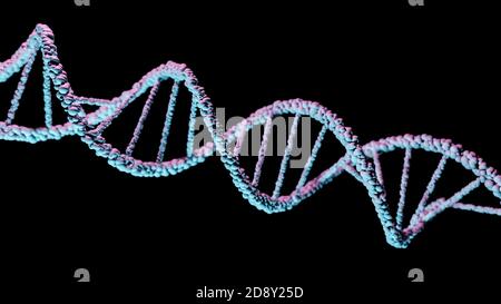 ADN, acide désoxyribonucléique, structure de la molécule à double hélice, chaînes de polynucléotides, atomes, brins de structure génétique humaine illustration du modèle 3D Banque D'Images