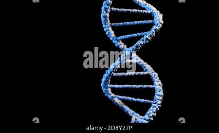 ADN, acide désoxyribonucléique, structure de la molécule à double hélice, chaînes de polynucléotides, atomes, brins de structure génétique humaine illustration du modèle 3D Banque D'Images