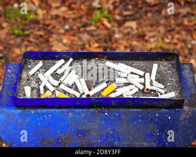 Beaucoup de mégots de cigarettes se trouvent dans un bleu sale un cendrier de rue miteux Banque D'Images