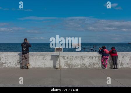 Les touristes prennent des photos des cormorans sur un vieux quai à Punta Arenas, au Chili Banque D'Images