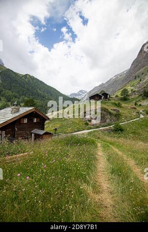 Zermatt, Suisse. Chemin vers le Cervin dans les Alpes suisses, forêt de pins verts et maisons de village panorama Banque D'Images