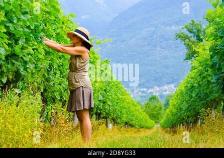 Agriculteur femme avec chapeau de paille et jupe travaillant dans un vignoble vert à Ascona, Tessin en Suisse. Banque D'Images