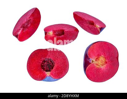 Ensemble de prunes pourpres mûres isolées sur fond blanc. Collection macro de prunes bleues coupées en deux Banque D'Images