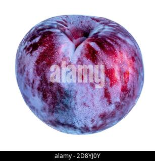 Fruits mûrs de prune isolés sur fond blanc. Bleu entier prune macro Banque D'Images