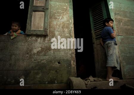 Enfants villageois du village de Nauli dans le district de Sitahuis, à la limite ouest de l'écosystème de la forêt tropicale de Batang Toru, dans le nord de Sumatra, en Indonésie. Banque D'Images