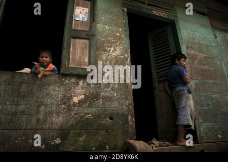 Enfants villageois du village de Nauli dans le district de Sitahuis, à la limite ouest de l'écosystème de la forêt tropicale de Batang Toru, dans le nord de Sumatra, en Indonésie. Banque D'Images