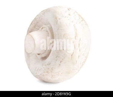 Champignons frais isolés sur fond blanc. Champagne bio gros plan. Vue latérale Banque D'Images